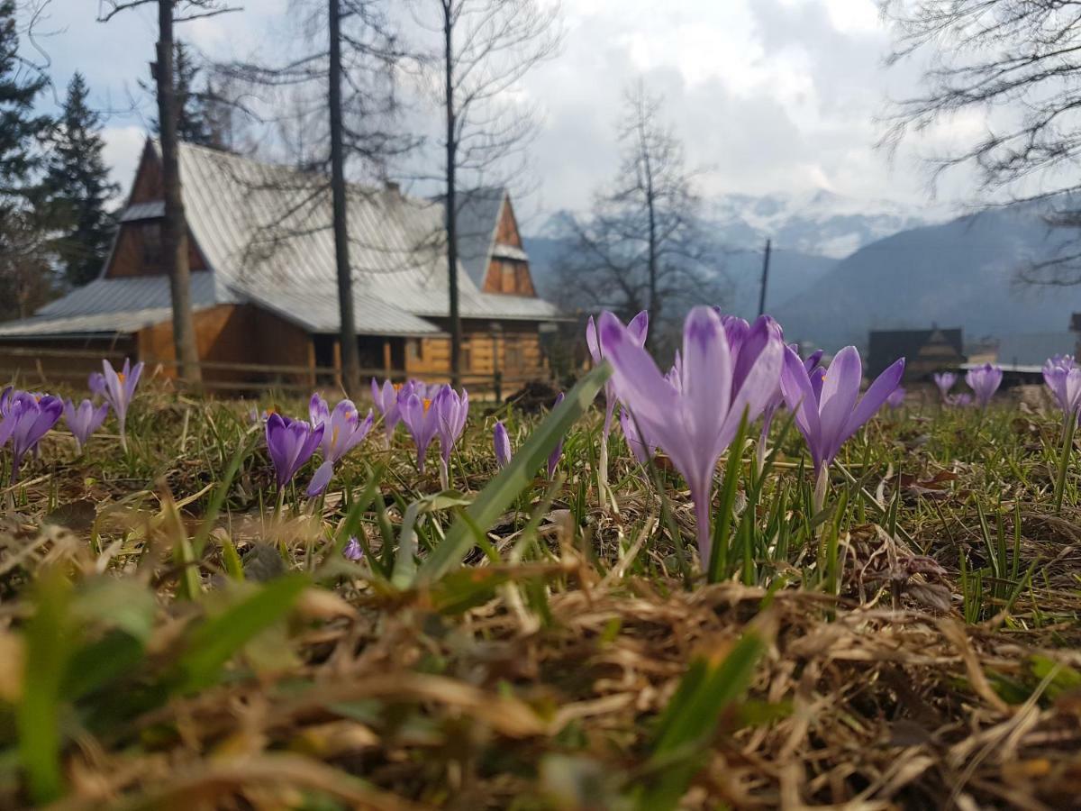 Apartament Sielanka, basen Kościelisko Bagian luar foto