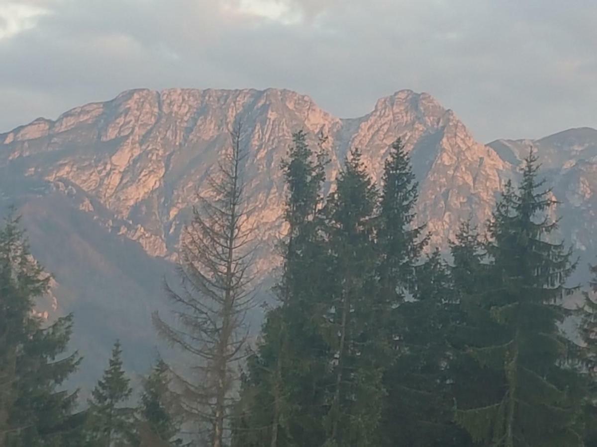 Apartament Sielanka, basen Kościelisko Bagian luar foto